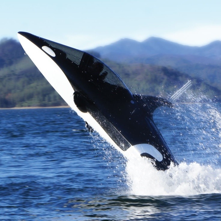 Photo:  The Killer Whale Submarine